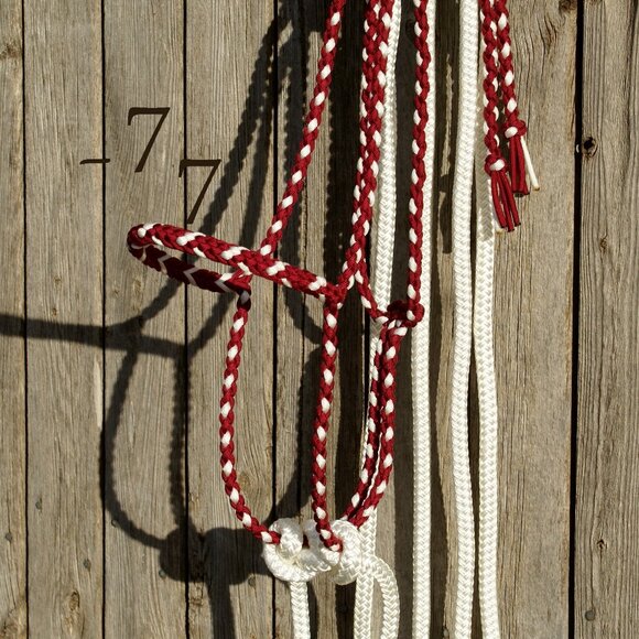 Handmade Braided Paracord Horse Loping Halter Hackamore - Yacht Rope Split Reins - Picture 5 of 9